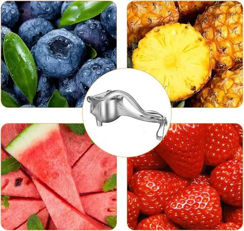 JuiceMaster – Exprimidor Metálico para Jugo de Fruta Fresca
