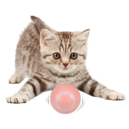 PowerBall Pelota Inteligente para Gatos - [PROMOCIÓN DISPONIBLE SOLO HOY]