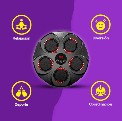 Nuevo Fit Box Musical - [PROMOCIÓN DISPONIBLE SOLO HOY]