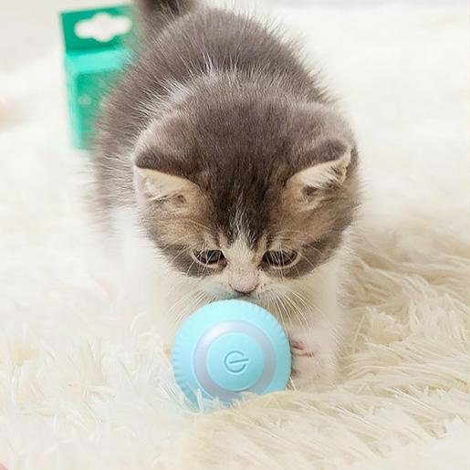 PowerBall Pelota Inteligente para Gatos - [PROMOCIÓN DISPONIBLE SOLO HOY]